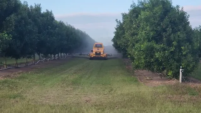 OMC AR-500 Mowing — Macadamia