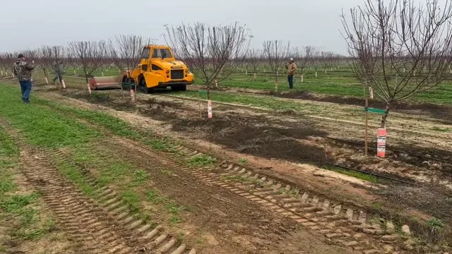OMC AR-500 Mowing