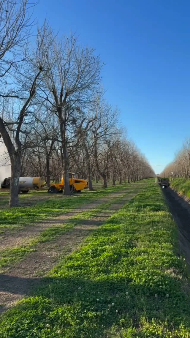 OMC AR-500 Spraying — Pecans (Turn)
