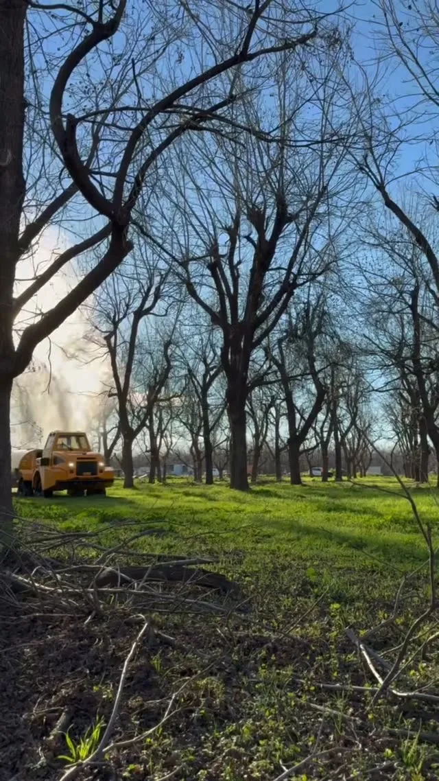OMC AR-500 Spraying — Pecans