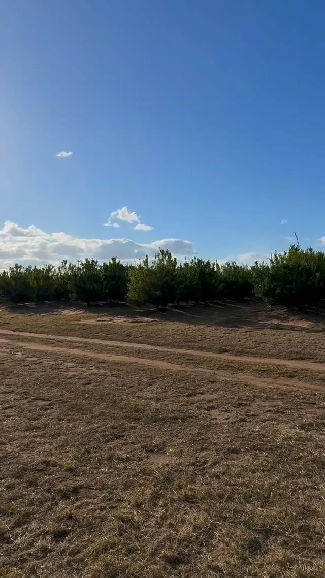 OMC AR-500 Spraying — Three ARs Turning